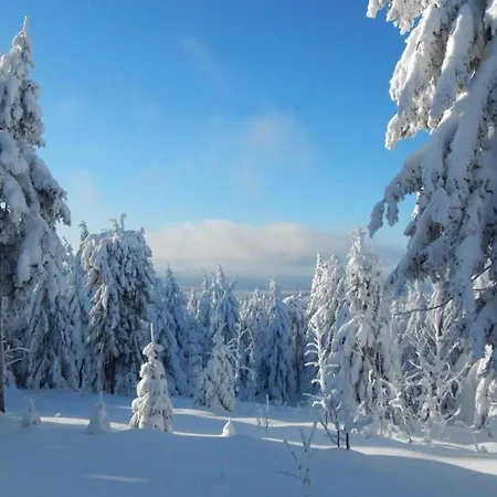 Апартаменты Peaceful Couples' Getaway *