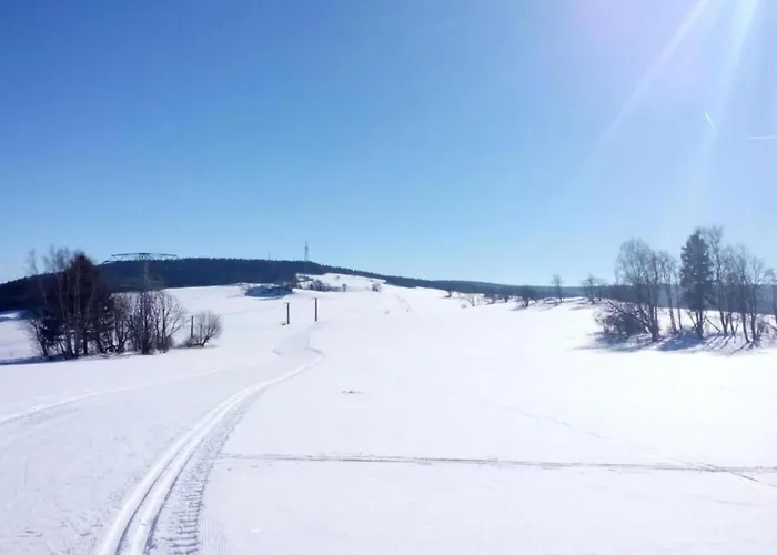 Peaceful Couples' Getaway Apartamento Breitenbrunn (Saxony)